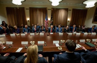Leaders as Cowards in Universities, Law Firms, SCOTUS, Congress