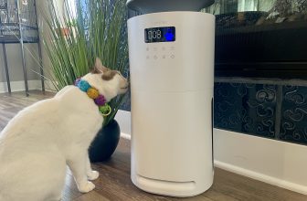 Our Expert’s Opinion — Catster