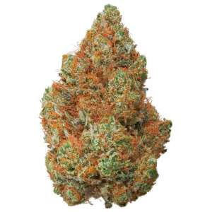 Raspberry-Creeme-Indoor