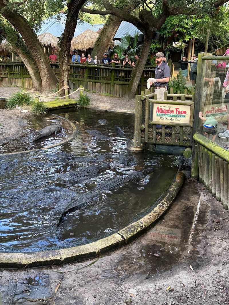 Shaded Boardwalks and a Family-Friendly Layout