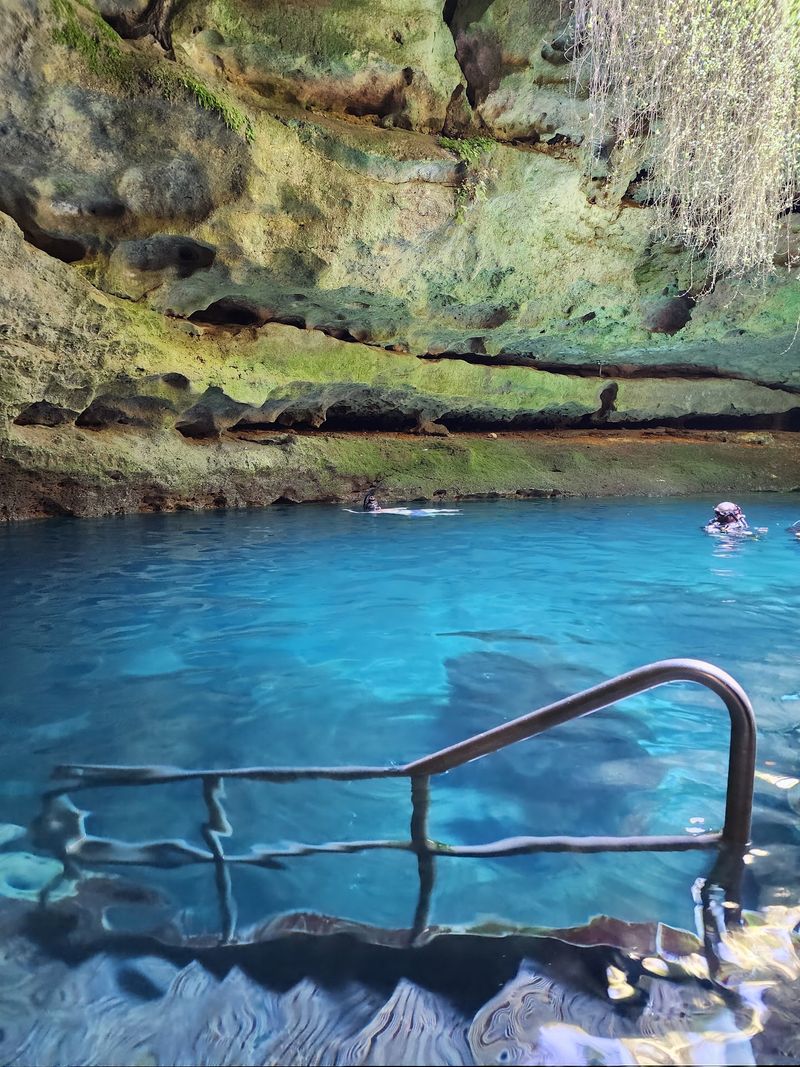 Snorkeling Over Fossil Beds