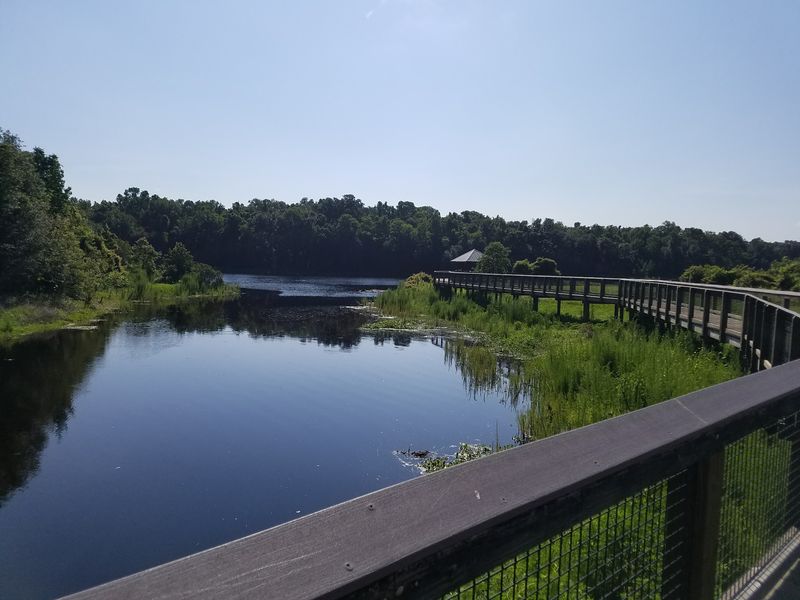 The Boardwalk and the Sink