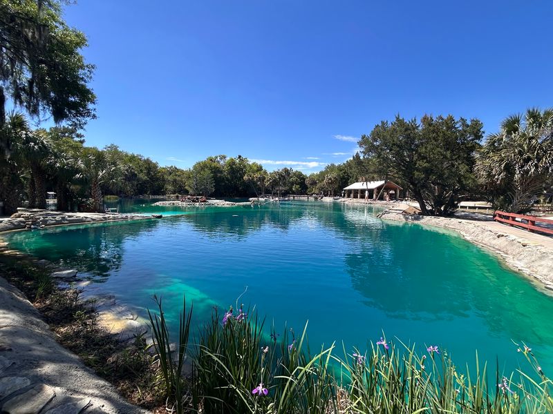 The Oasis, a Very Blue Lagoon