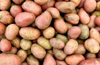 If You Think Potatoes Are Bad for You, These Nutrition Experts Want to Change Your Mind