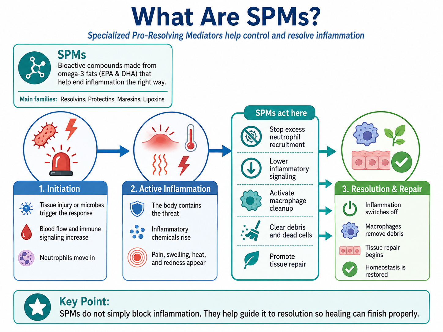 SPM supplements may help resolve chronic inflammation