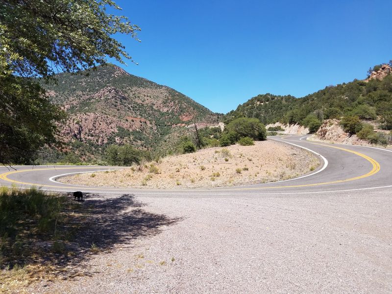 Where The Switchbacks Begin