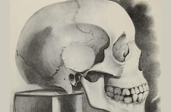 A Hidden Immune Structure Inside the Skull May Be the Body’s First Line of Defense Against Brain Tumors