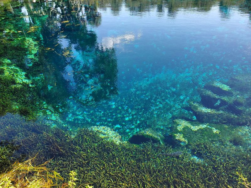 Why This Old Florida Spring Still Wins