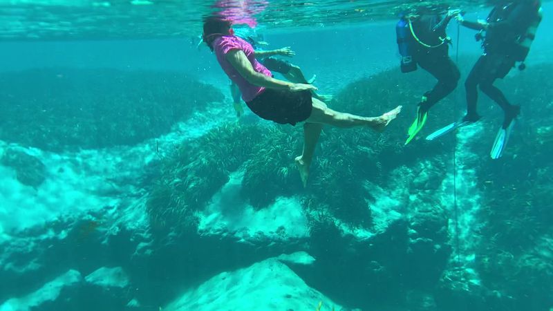 Why This Spring Deserves a Spot on Your List