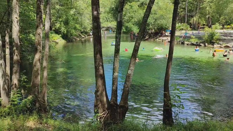 Why This Spring Is Worth the Drive Why This Spring Is Worth the Drive