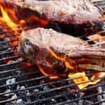 Our experts tested the top-rated grills.