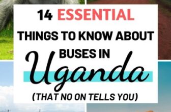 Buses In Uganda: 14 Things To Know To Survice You First Ride