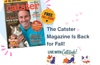 Fall 2026 Issue — Catster