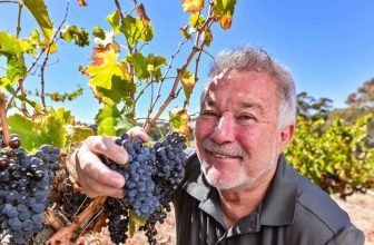 Seppeltsfield winemaker smashes St Georges house price record