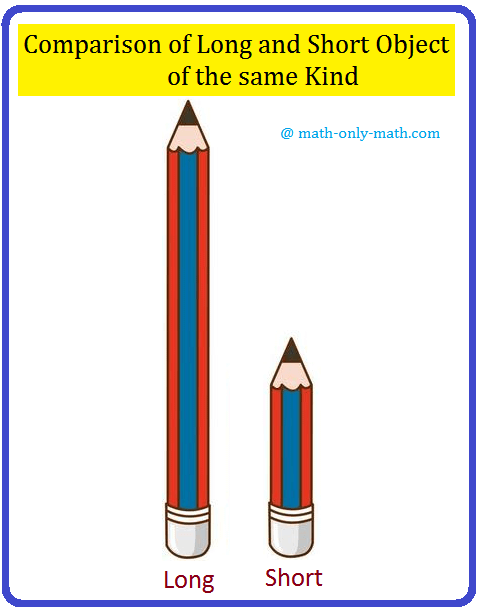 Comparison of Long and Short Object of the Same Kind Comparison of Long and Short Object of the Same Kind