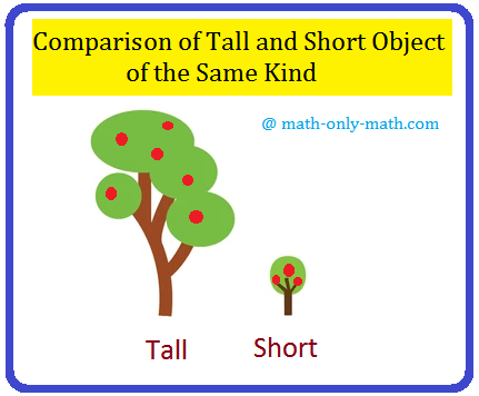 Comparison of Tall and Short Object of the same Kind Comparison of Tall and Short Object of the same Kind