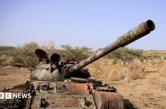 Ethiopia conflict: Seven armed groups form alliance against Abiy Ahmed