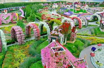 Dubai Miracle Garden set to open in October 2026
