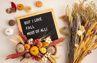 101 Fall Letter Board Quotes for Cute, Cozy and Beautiful Autumn Vibes