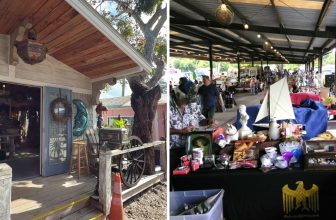 Only an Hour From Orlando, This Mount Dora Antique District Fills Whole Weekends for Almost Nothing