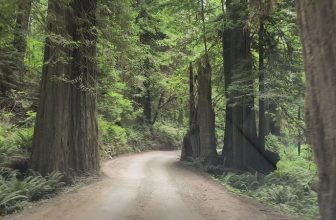 Every Mile of This Short California Drive Feels Like Driving Through a Postcard