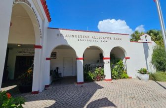 There’s a Roadside Alligator Farm Near St. Augustine Where Rare White Gators Actually Live