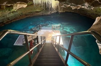 Nobody Warns You That the Devil’s Den Near Ocala Is a Prehistoric Spring Inside a Cave