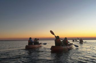 You Can Kayak Through a Glowing Bioluminescent Lagoon With BK Adventure in Titusville on Summer Nights