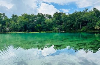 Deep in the Ocala National Forest Sits a Spring So Clear Divers Call It Florida’s Aquarium