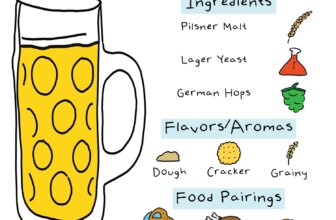 Everything You Need To Know About Festbier
