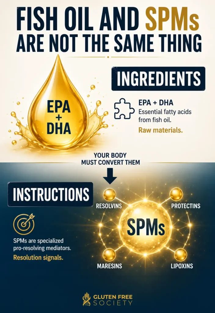 Infographic showing the difference between fish oil and SPMs, illustrating how EPA and DHA provide raw materials while SPMs act as resolution signals that support tissue repair and healing.