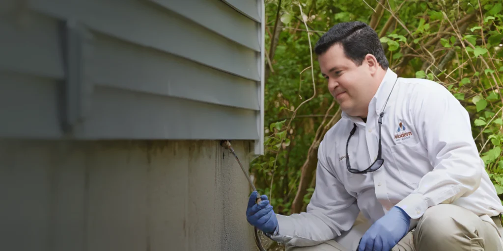 pest control expert