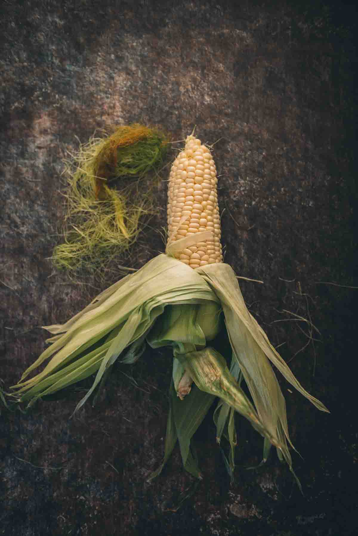 Corn with husk peeled back, but still attached, and silk pulled off.