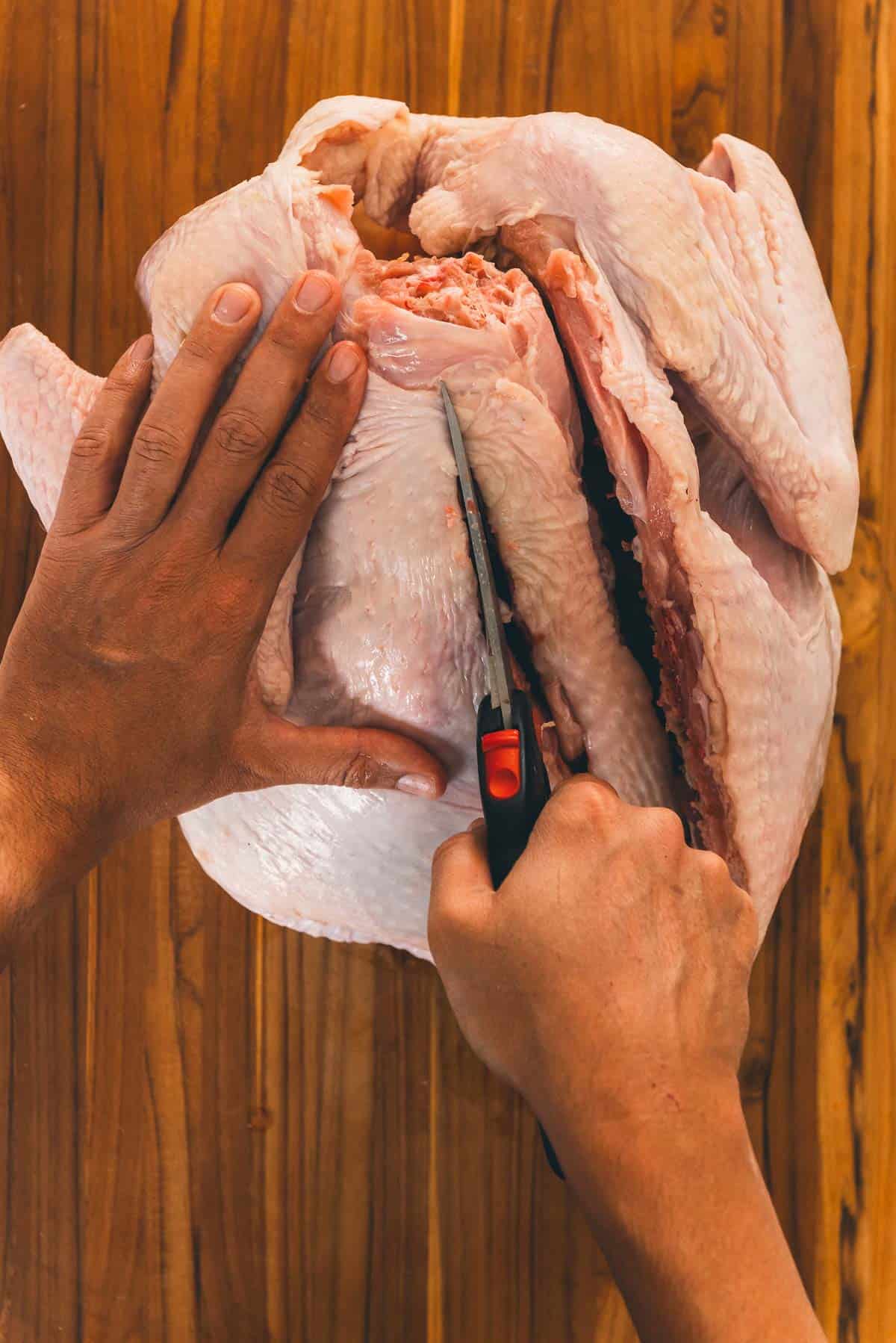 Sheers cutting along the backbone to remove it from turkey.