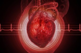 Women’s arteries may start changing decades before menopause—and estrogen may not be the reason