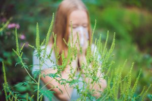 Young woman sneezes because of an allergy to ragweed.