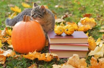 Falling Leaves (of Books): Graphic Novels That Are Giving Autumn