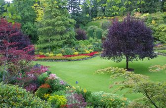 Quick Tips for Outdoor Spaces