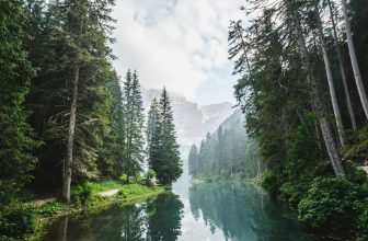 Exploring the World with Purpose