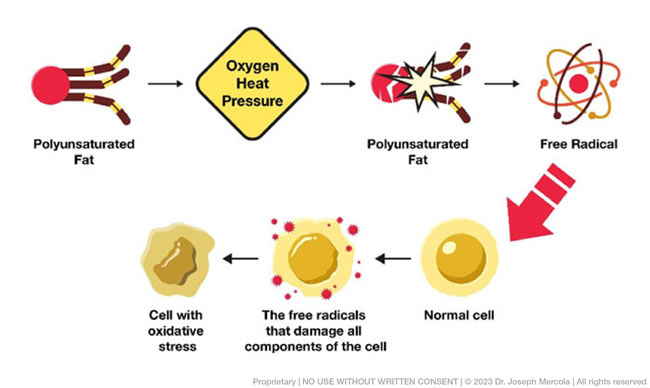 mechanism of oxidative stress
