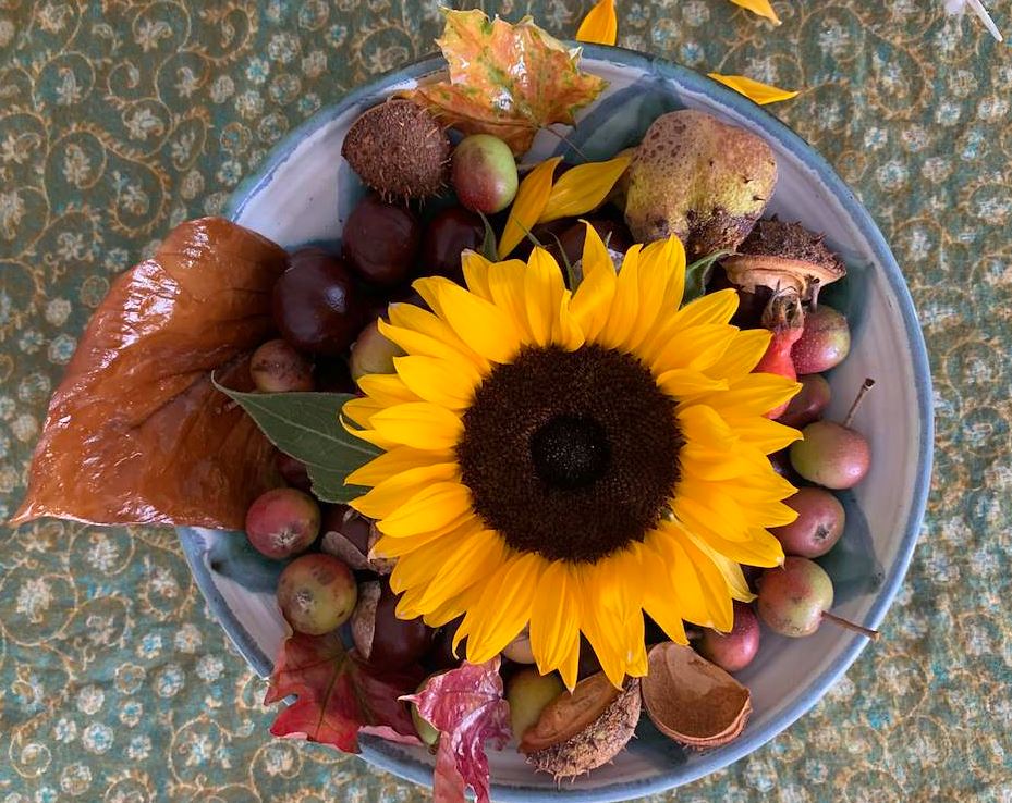 Easy Autumn Nature Bowl