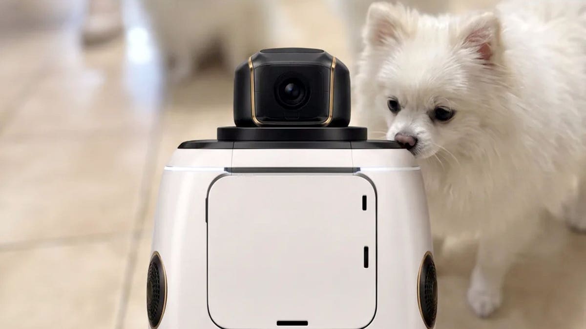 A dog next to a robot with a camera.
