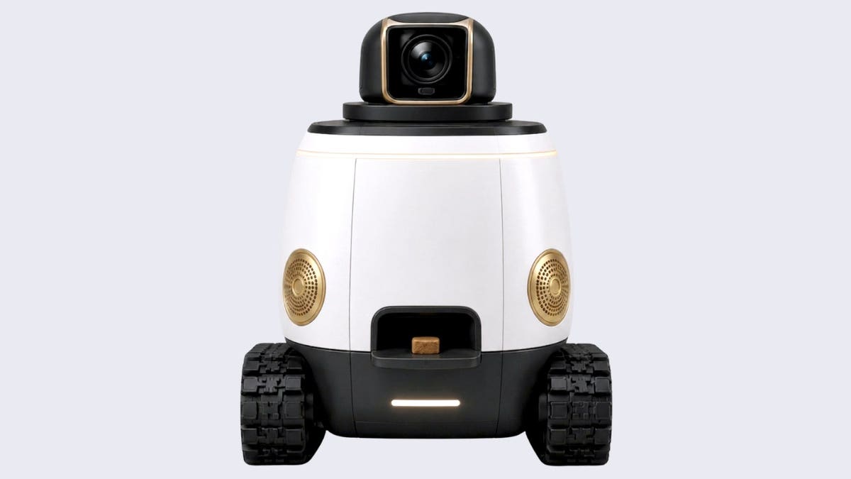 A wheeled robot with a camera.