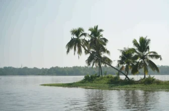 Planning a Kerala Holiday from Indore? Here’s Everything You Need to Know – Paradise Holidays