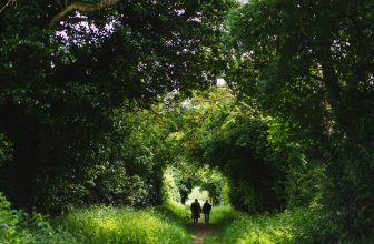 Creation Spirituality, Original Blessing & Evil in the News This Week