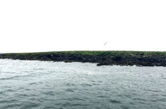 What to Expect for Weather, Puffin Season & Midnight Sun