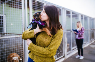 A Comprehensive New Puppy Checklist for First-Time Pet Owners