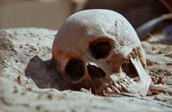 Ancient DNA reveals how plague kept returning for 400 years after the Black Death
