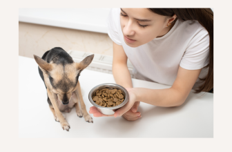 Get A Picky Dog To Eat (Hint: Think FOMO)