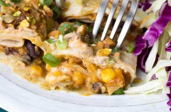 Vegan Black Bean and Pumpkin Enchiladas